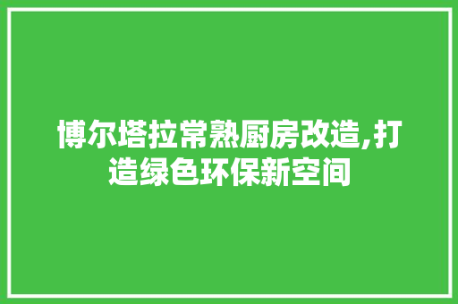 博尔塔拉常熟厨房改造,打造绿色环保新空间