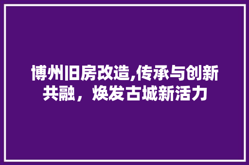 博州旧房改造,传承与创新共融，焕发古城新活力