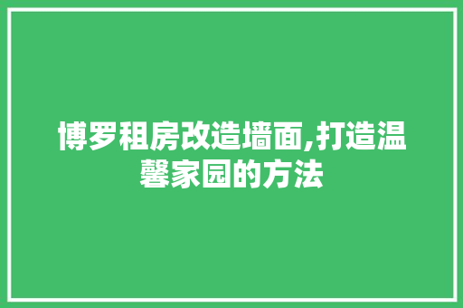 博罗租房改造墙面,打造温馨家园的方法