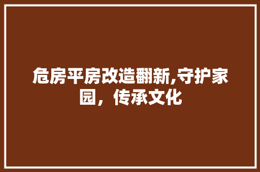 危房平房改造翻新,守护家园，传承文化