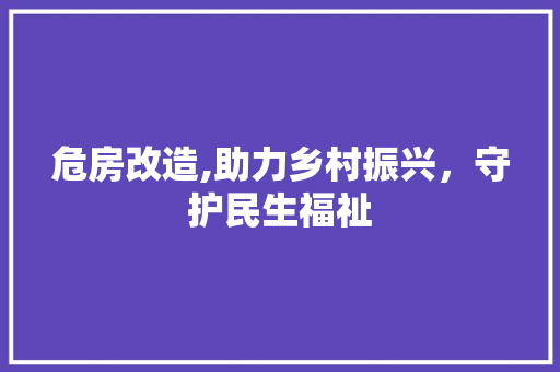 危房改造,助力乡村振兴，守护民生福祉
