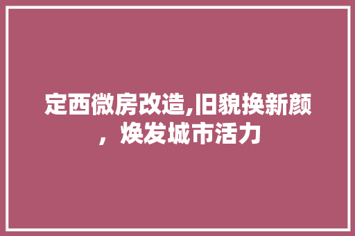 定西微房改造,旧貌换新颜，焕发城市活力