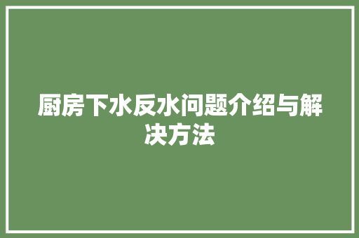 厨房下水反水问题介绍与解决方法