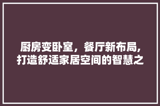厨房变卧室，餐厅新布局,打造舒适家居空间的智慧之路