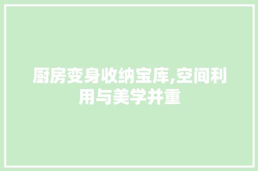 厨房变身收纳宝库,空间利用与美学并重
