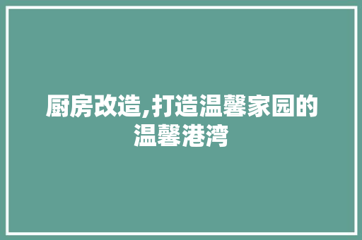 厨房改造,打造温馨家园的温馨港湾