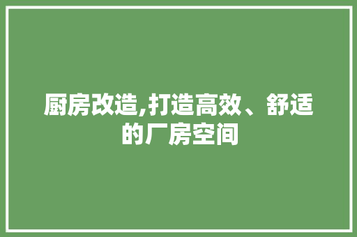 厨房改造,打造高效、舒适的厂房空间