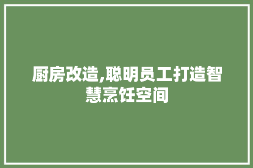 厨房改造,聪明员工打造智慧烹饪空间