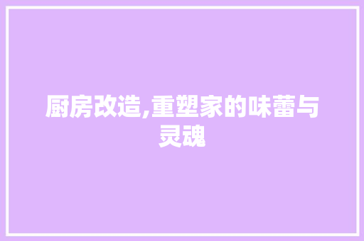 厨房改造,重塑家的味蕾与灵魂