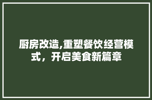 厨房改造,重塑餐饮经营模式，开启美食新篇章