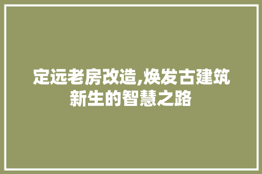 定远老房改造,焕发古建筑新生的智慧之路