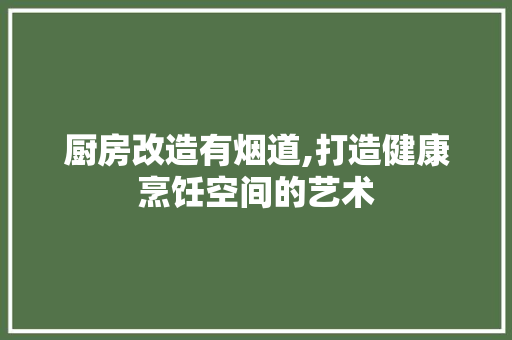 厨房改造有烟道,打造健康烹饪空间的艺术