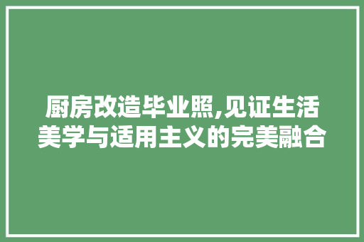 厨房改造毕业照,见证生活美学与适用主义的完美融合