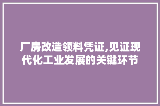 厂房改造领料凭证,见证现代化工业发展的关键环节