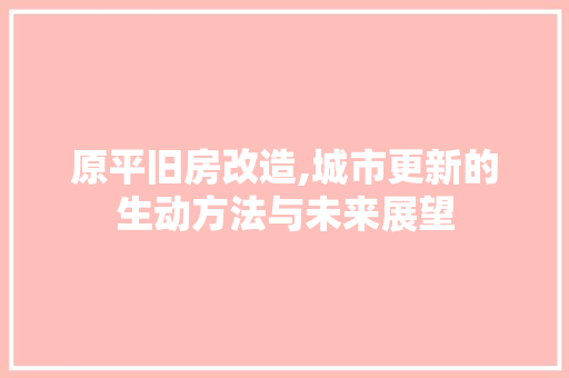 原平旧房改造,城市更新的生动方法与未来展望