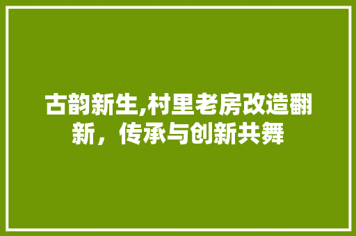 古韵新生,村里老房改造翻新，传承与创新共舞