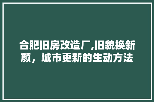 合肥旧房改造厂,旧貌换新颜，城市更新的生动方法