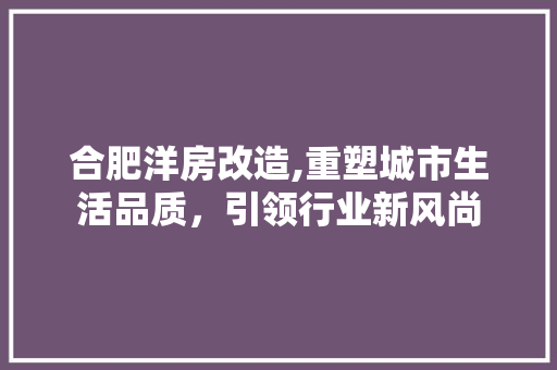 合肥洋房改造,重塑城市生活品质，引领行业新风尚