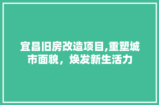 宜昌旧房改造项目,重塑城市面貌，焕发新生活力