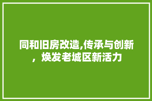 同和旧房改造,传承与创新，焕发老城区新活力