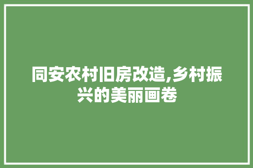 同安农村旧房改造,乡村振兴的美丽画卷