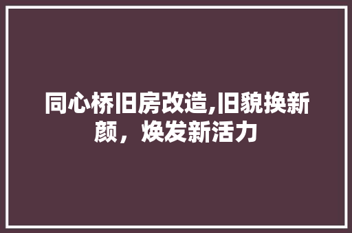 同心桥旧房改造,旧貌换新颜，焕发新活力