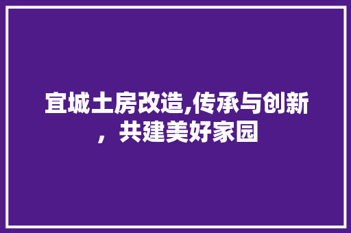 宜城土房改造,传承与创新，共建美好家园