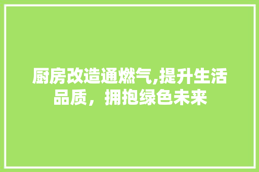 厨房改造通燃气,提升生活品质，拥抱绿色未来