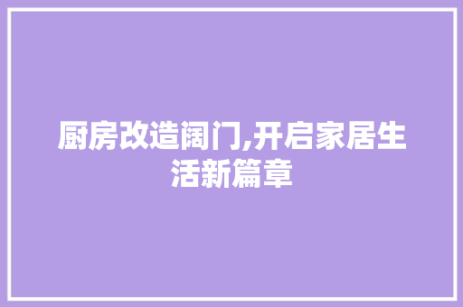 厨房改造阔门,开启家居生活新篇章