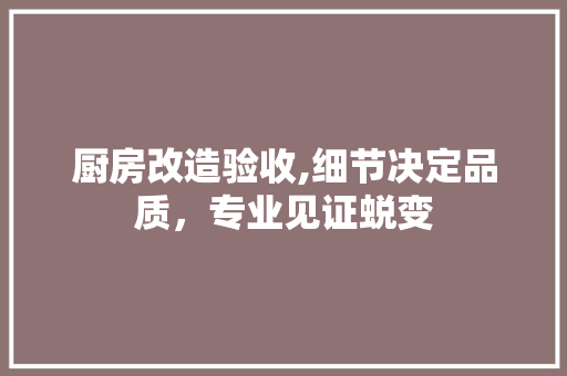 厨房改造验收,细节决定品质，专业见证蜕变