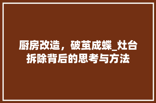 厨房改造，破茧成蝶_灶台拆除背后的思考与方法