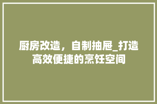 厨房改造，自制抽屉_打造高效便捷的烹饪空间