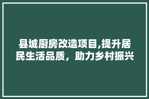 县城厨房改造项目,提升居民生活品质，助力乡村振兴