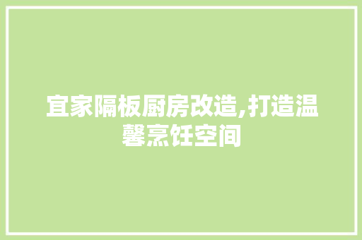 宜家隔板厨房改造,打造温馨烹饪空间