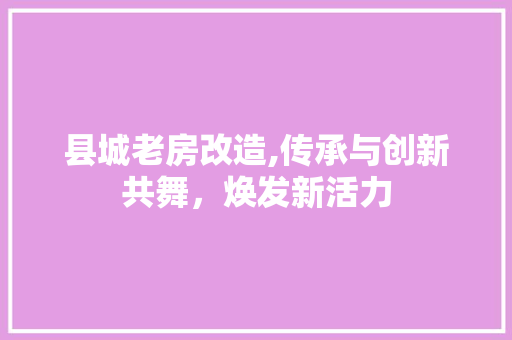 县城老房改造,传承与创新共舞，焕发新活力