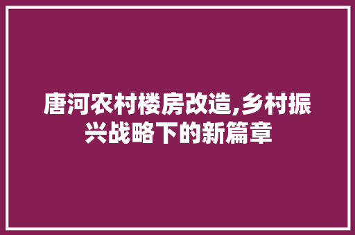 唐河农村楼房改造,乡村振兴战略下的新篇章