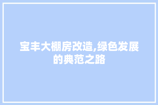 宝丰大棚房改造,绿色发展的典范之路