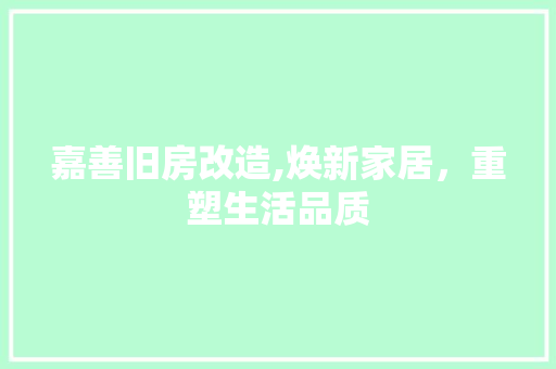 嘉善旧房改造,焕新家居，重塑生活品质