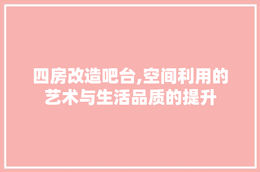四房改造吧台,空间利用的艺术与生活品质的提升