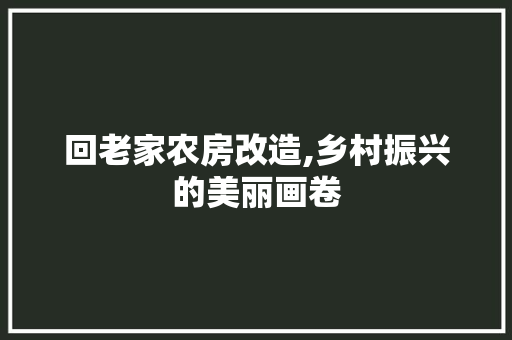 回老家农房改造,乡村振兴的美丽画卷