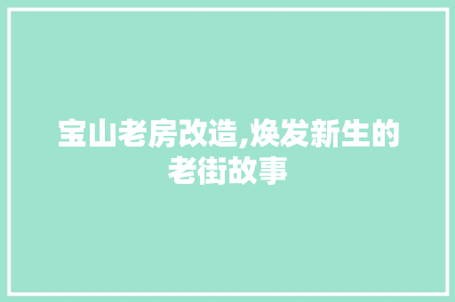 宝山老房改造,焕发新生的老街故事