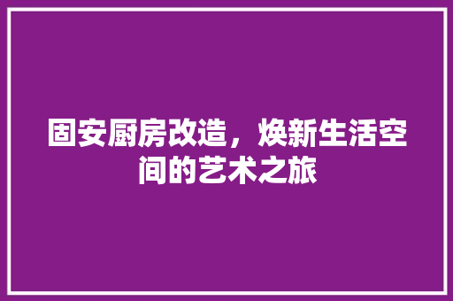 固安厨房改造，焕新生活空间的艺术之旅