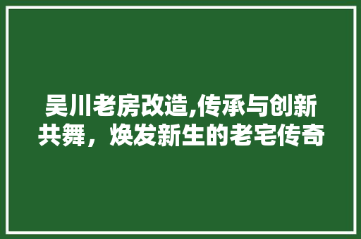 吴川老房改造,传承与创新共舞，焕发新生的老宅传奇