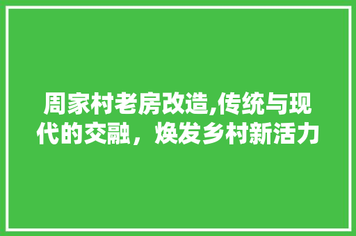 周家村老房改造,传统与现代的交融，焕发乡村新活力