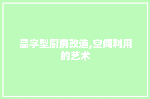 品字型厨房改造,空间利用的艺术