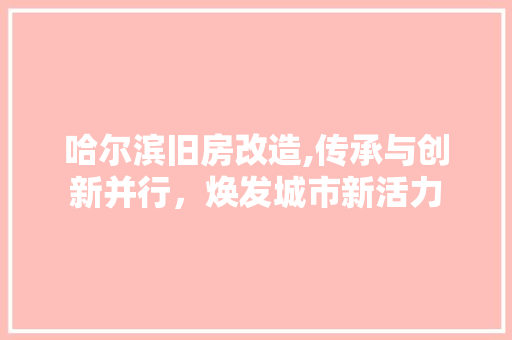 哈尔滨旧房改造,传承与创新并行，焕发城市新活力