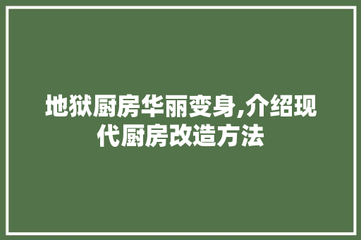 地狱厨房华丽变身,介绍现代厨房改造方法