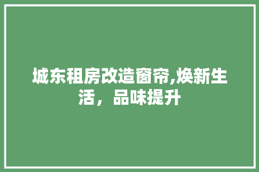 城东租房改造窗帘,焕新生活，品味提升