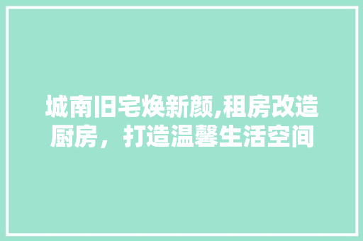 城南旧宅焕新颜,租房改造厨房，打造温馨生活空间