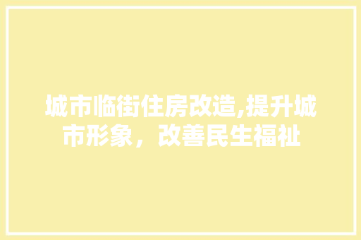 城市临街住房改造,提升城市形象，改善民生福祉